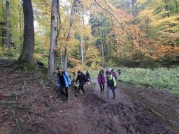 56534094612824029903543132394954098836247377n